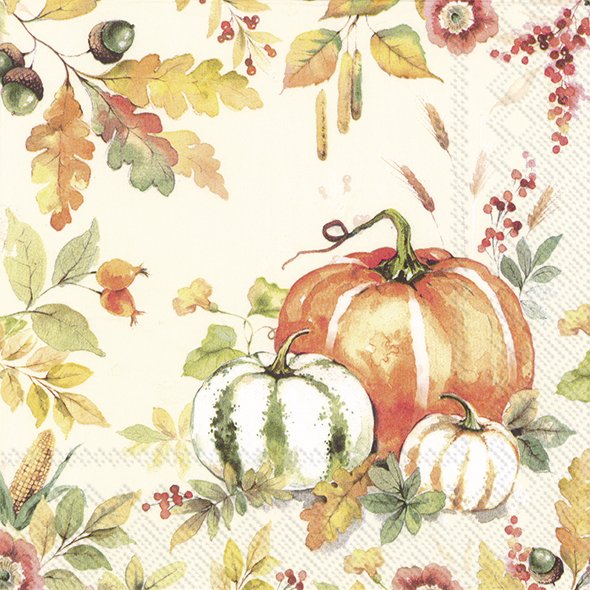 Pumpkin love cream lunchservetter IHR L925060 i gruppen SERVERING / Textile / Servetter & servetteringar hos NordiskaDeko Djursholm (686423699917)