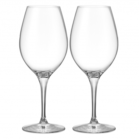 Orrefors More vinglas 44cl 2-pack by Erika Lagerbielke, 6310109 i gruppen SERVERING / Glas / Vinglas & champagneglas hos NordiskaDeko Djursholm (7321646008322)