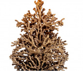 Bordslampa Corallo, Eichholtz-117770 Bordslampa Corallo, Eichholtz-117770