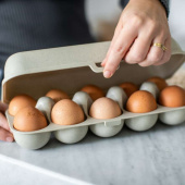 Koziol Eggs To Go Äggkartong för 10 ägg Beige, 7179700