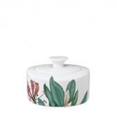 Villeroy & Boch Avarua sockerskål 6 personer, 1046550960 Villeroy & Boch Avarua sockerskål 6 personer, 1046550960