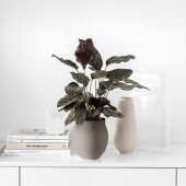 Villeroy and Boch Tillverkar collier taupe vas Perle stor - 417045 Villeroy and Boch Tillverkar collier taupe vas Perle stor - 417045