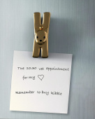 Lampo, klämma/magnet, gyllene, Alessi-MMI32CGD Lampo, klämma/magnet, gyllene, Alessi-MMI32CGD